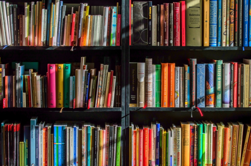 ecommerce-LA CROIX SUR ROUDOULE-min_books_bookstore_book_reading_shop_writer_sale_books_read-822866